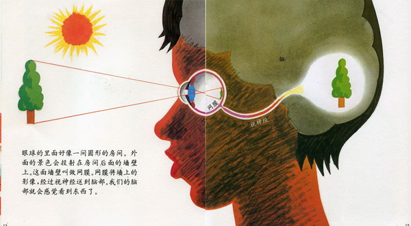 眼睛的故事 (08),绘本,绘本故事,绘本阅读,故事书,童书,图画书,课外阅读